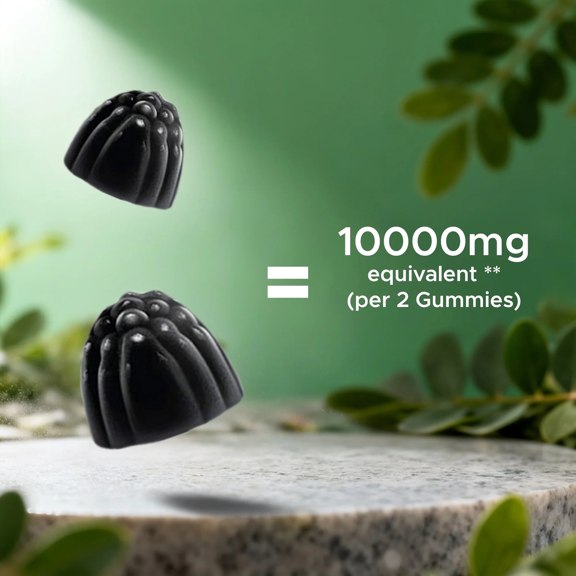 Sugar Free Moringa Gummies - 10000 Mg Equivalent per Serving - Complete Green Superfood - 60 Pectin Based Gummies